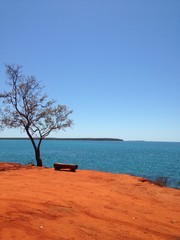 Fototapeta na wymiar Minimalist arid landscape with orange ground and blue sea and a solo tree