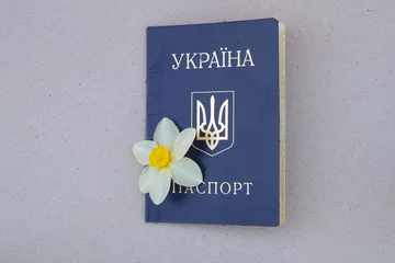 Schilderijen op glas Oekraïens paspoort met een gele narcisbloemknop op een geïsoleerde achtergrond © Виктория Котлярчук