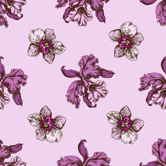 Seamless pattern with hand drawn colored orchid
