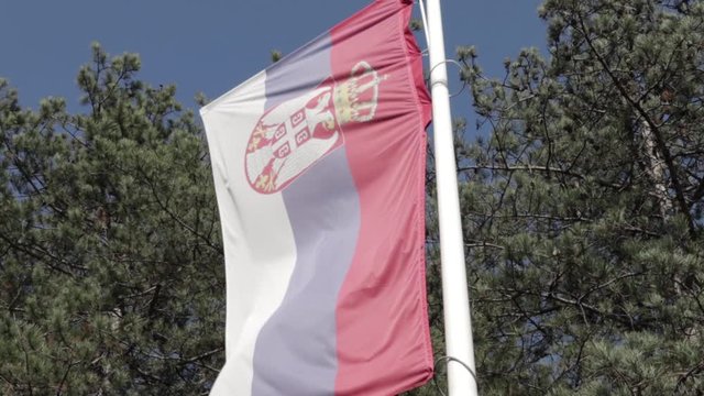 Serbian flag on the pole in the park - slow motion. Bright day / blue sky
