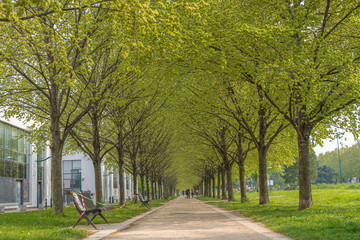 Gennevilliers, France - 04 11 2020: Walk in a park around my home during coronavirus confinement