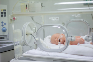 Model newborn in the hospital. Pediatric Department