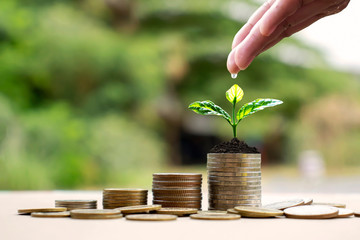 Hands are watering plants on top of coins stacked on blurred backgrounds and natural light, complete with financial concepts and financial growth.