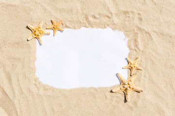 Frame with starfish on golden sandy beach. Summer vacation concept with copyspace for text message