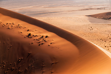 sand dune edge