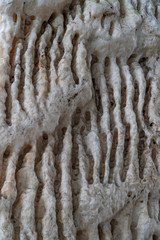 texture  close-up of stalactites and stalagmites