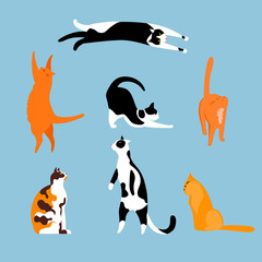 cat. a set of vector isolated illustrations with Pets. cats of different breeds