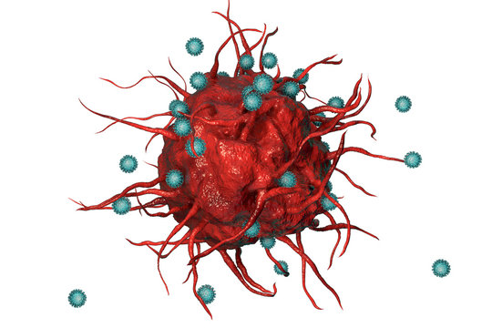 SARS-CoV-2 virus and immune cell