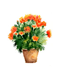 Aquarelle painting of Vintage pot flower sketch art illustration