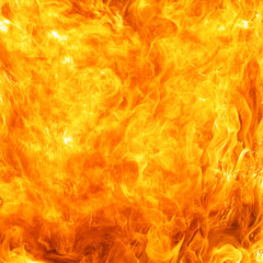 blaze fire flame conflagration texture background in square ratio