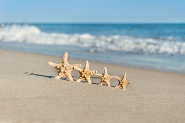 Fototapeta na wymiar 4 sea stars standing on golden sand near sea. Family summer vacation concept