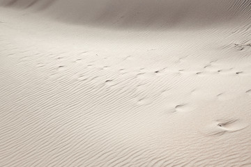 Desert background. Sandy dunes texture.