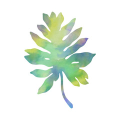 Beautiful tropical plant. Hand painted decorative image isolated on a white background. Watercolour painting.