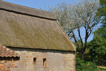 Fototapeta na wymiar 15th century farm building, Jersey, U.K. Spring rural landscape.