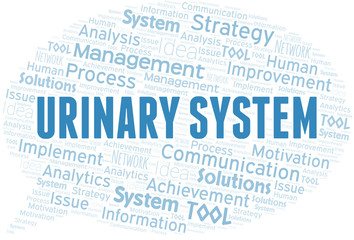 Fototapeta premium Urinary System typography vector word cloud.