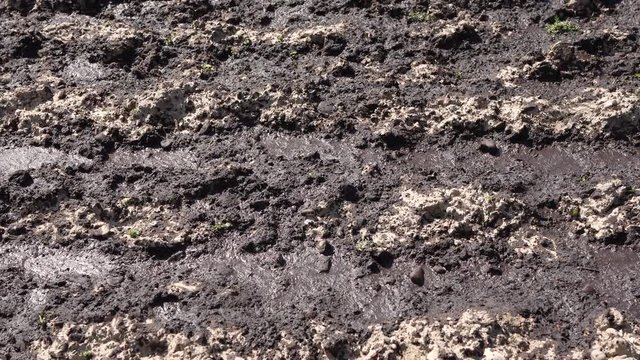 Acre with a lot of liquid manure from a biogas plant