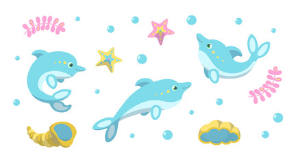 Cute dolphins, starfishes and shells on white background. Vector illustration in cartoon style