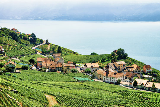 Countryside in Lavaux Vineyard Terraces hiking trail Switzerland