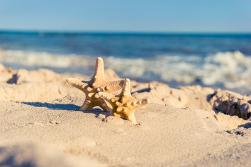 Fototapeta na wymiar 2 sea stars standing on golden sand near sea. Couple on summer vacation concept