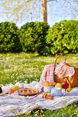 Picnic basket with fruit and bakery on a plaid and a green meadow with flowers. Lunch in the park on the green grass. Summer picnic background concept. Copy space