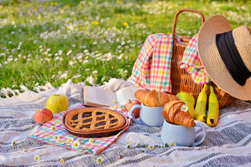 Picnic basket with fruit and bakery on a plaid and a green meadow with flowers.Lunch sweet cake, croissants, drinks, fruits in the park on the green grass. Summer picnic background concept. Copy spac