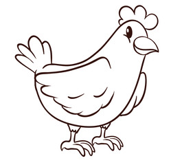  chicken vector illustration of 