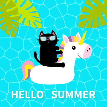Hello Summer. Swimming pool water. Black cat floating on white unicorn pool float water circle. Top air view. Sunglasses. Lifebuoy. Palm tree leaf. Cute cartoon relaxing character. Flat design.