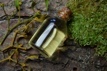 mistletoe aroma oil alternative medicine