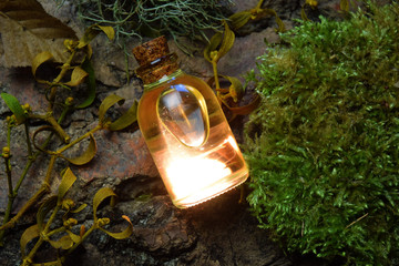 Secret Magical Elixir forest scenery