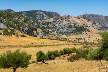 Fototapeta na wymiar Summer in national park la Sierra de Grazalema, Andalusian white villages route in Spain