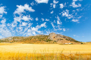 Fototapeta na wymiar Andalusian landscape with yellow hills and blue sky with high white clouds