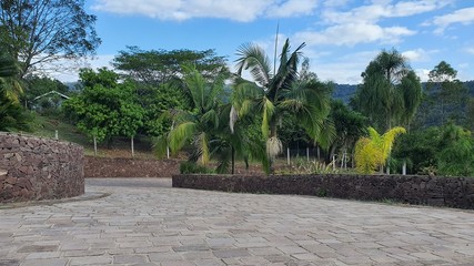 jardim de casa de luxo