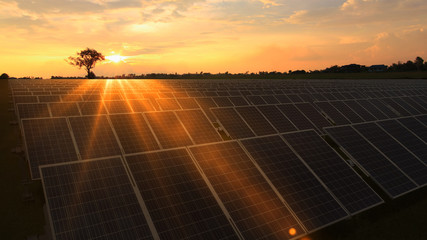 Solar panels with warm sky