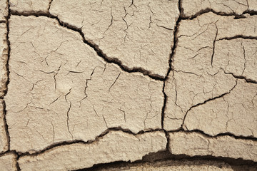 Cracks in the earth in rural areas. Ground texture background. Dry soil abstract photo. Mosaic pattern