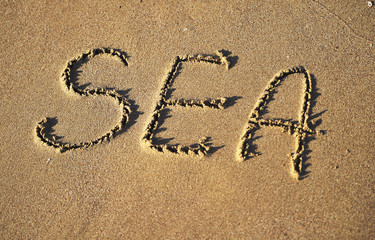 word sea written in sand