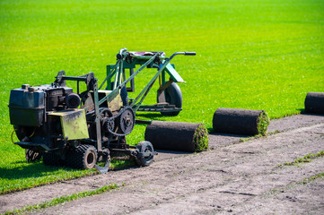 Field with high-quality, multi-purpose ryegrass or fescue turf for healthy, green and hard wearing...
