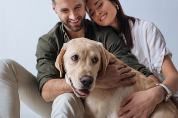 Selective focus of golden retriever near smiling young couple isolated on grey
