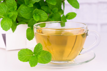 A cup of mint soothing tea and fresh mint in the background. Mint tea on a white background. Close-up.