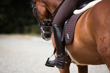 Detailaufnahme von hinten auf einem Reitstiefel und Pferdekopf mit Kandare im Dressurtraining
