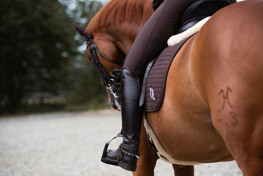 Detail vpn Pferd und Reitstiefel von hinten