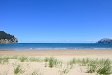 View of an empty beach with grass growing on the dunes
