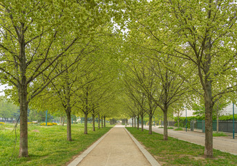 Gennevilliers, France - 04 11 2020: Walk in a park around my home during coronavirus confinement