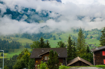 Mountain landscape, high mountains of the alpine ridge.
Forest in the highlands.
Forest, sky and solitude with nature.
Alpine landscape.
Alps of Switzerland. Alps of Italy.
Mountain valleys surrounded