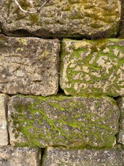 Fototapeta premium stone wall with moss