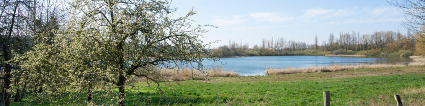 Bl&uuml;hender Kirschbaum am Lanstroper See, Dortmund, Ruhrgebiet, Nordrhein-Westfalen, Deutschland, Europa