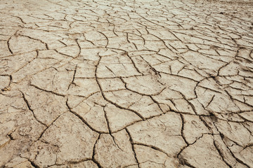 Cracks in the earth in rural areas. Ground texture background. Dry soil abstract photo. Mosaic pattern