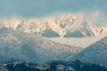 fog over the fir forest in the snowy mountain