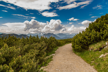 summer landscape. mountain path on the blue sky background. Panorama