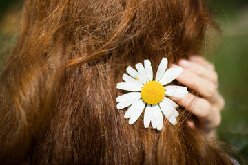 In beautiful long red shiny hair, chamomile in summer.