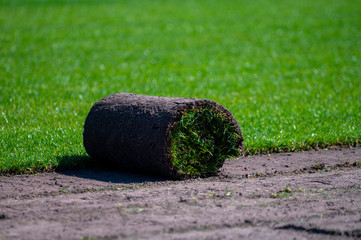 Field with high-quality, multi-purpose ryegrass or fescue turf for healthy, green and hard wearing...